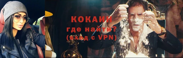 гидра Богданович