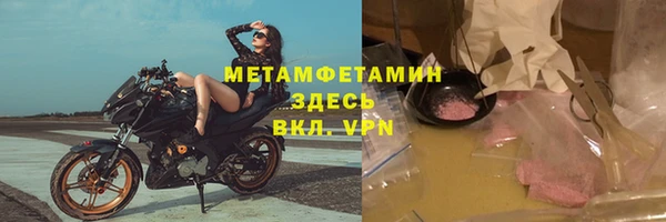 гидра Богданович