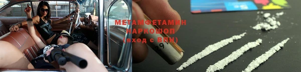 гидра Богданович