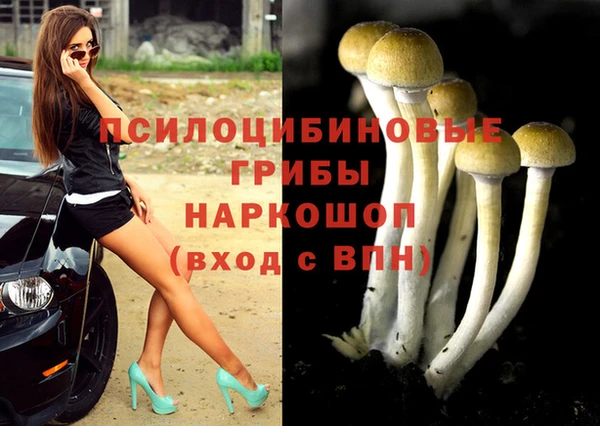 гидра Бородино