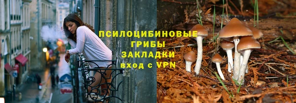 гидра Богданович