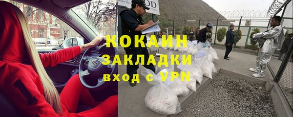 гидра Богданович