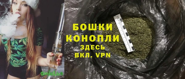 гидра Богданович