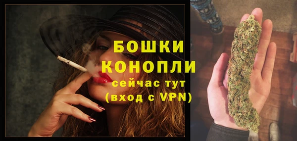 гидра Бородино