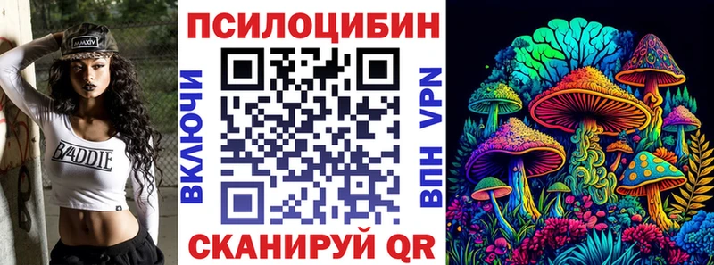 Псилоцибиновые грибы мицелий  где найти   площадка клад  Берёзовка 
